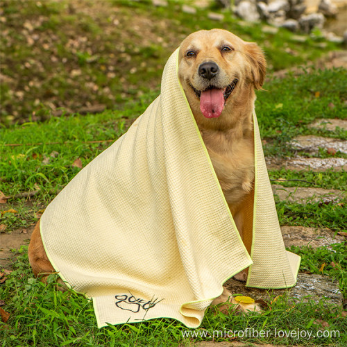Soft pet dog microfiber bathrobe